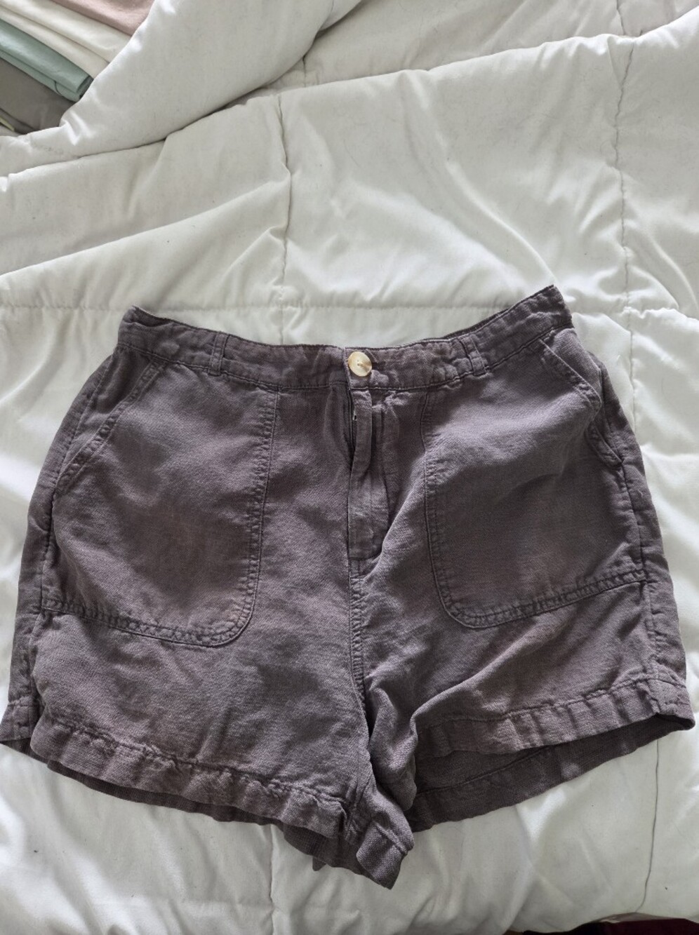 C&CCalifornia Linen Blend Shorts